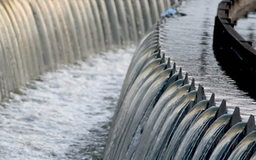 Zycus’ Procure-To-Pay Suite Purifies Procurement Processes of Australia’s Trusted Water Utilities Provider