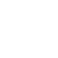 reduced icon