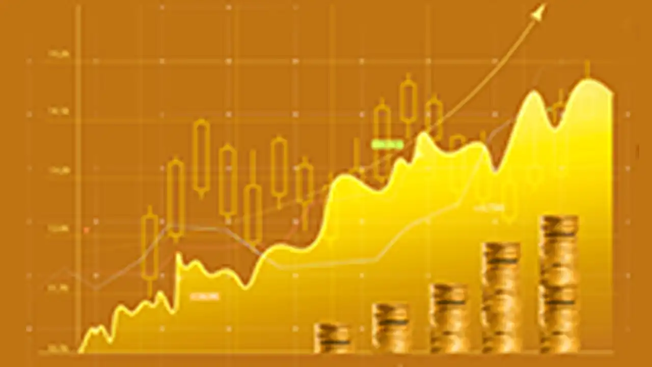 Accounts Payable